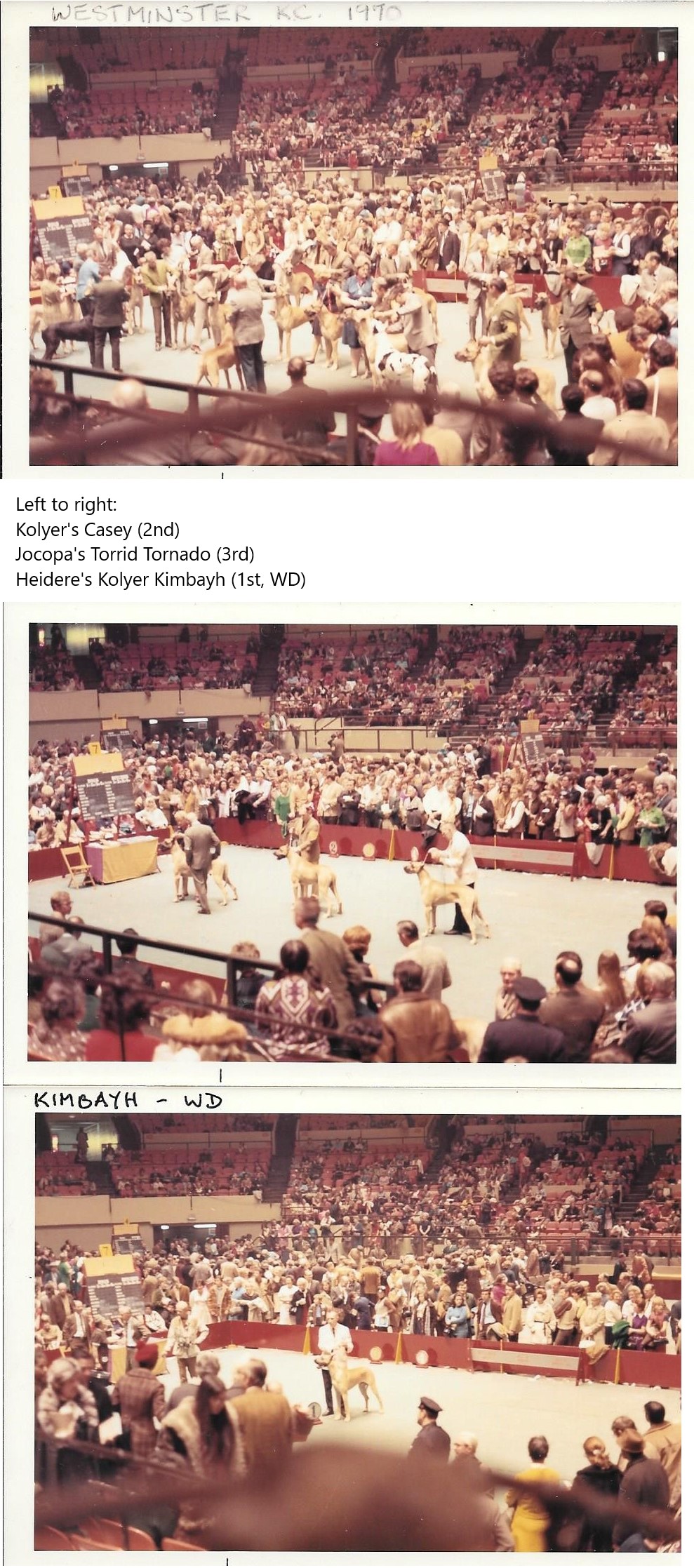 Westminster 1970